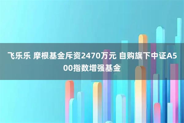 飞乐乐 摩根基金斥资2470万元 自购旗下中证A500指数增强基金