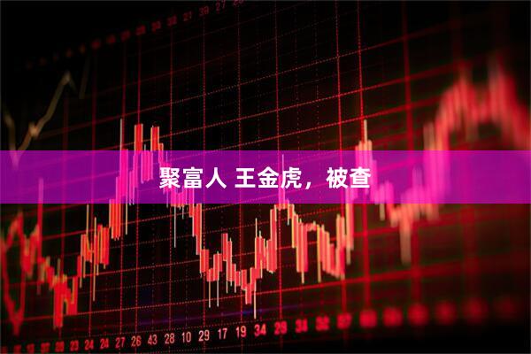 聚富人 王金虎，被查