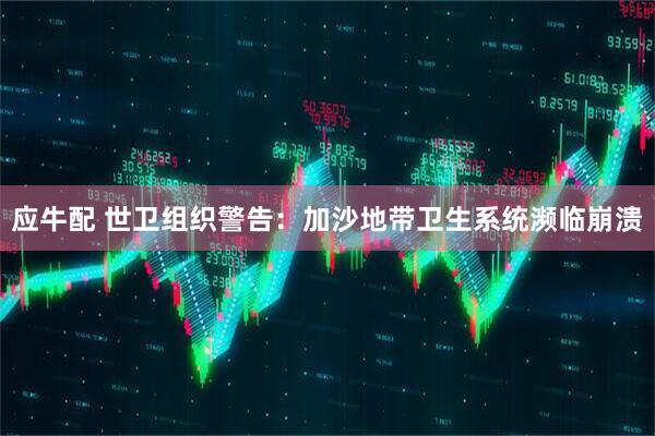 应牛配 世卫组织警告：加沙地带卫生系统濒临崩溃
