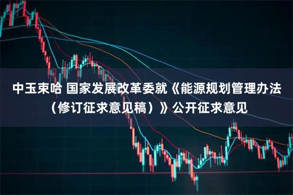 中玉束哈 国家发展改革委就《能源规划管理办法（修订征求意见稿）》公开征求意见