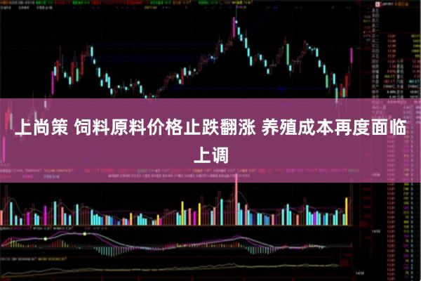 上尚策 饲料原料价格止跌翻涨 养殖成本再度面临上调