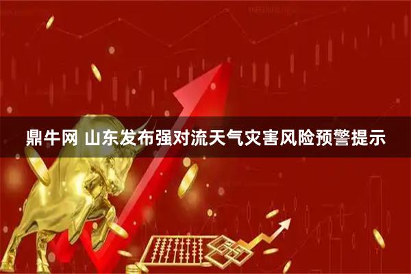 鼎牛网 山东发布强对流天气灾害风险预警提示