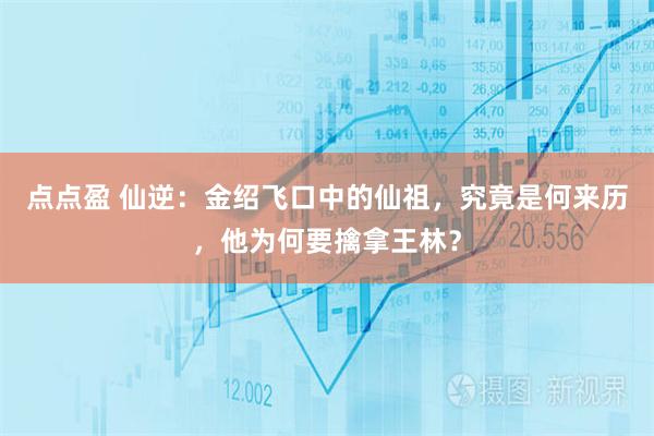 点点盈 仙逆：金绍飞口中的仙祖，究竟是何来历，他为何要擒拿王林？