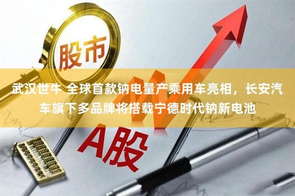武汉世牛 全球首款钠电量产乘用车亮相，长安汽车旗下多品牌将搭载宁德时代钠新电池